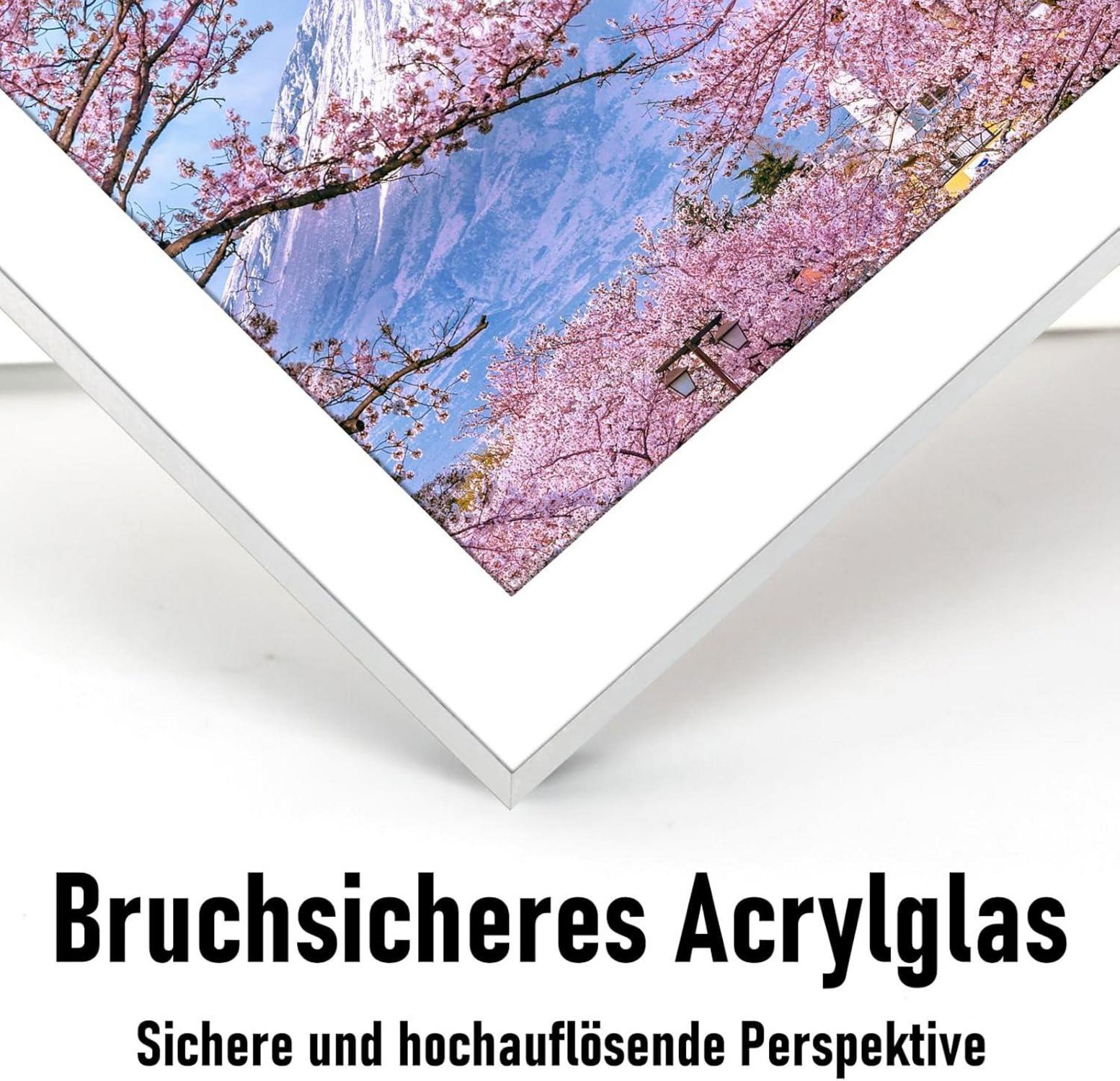 Bilderrahmen Aluminium 50x70cm Silber Acrylglas Passepartout
