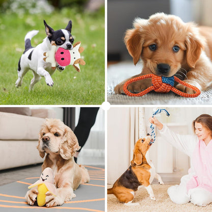 Hundespielzeug Set 8-teilig für kleine Hunde, interaktives