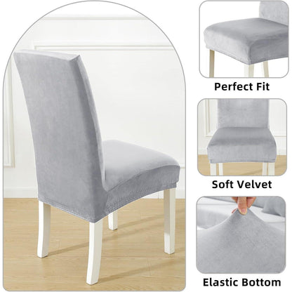 Samt Stuhlhussen 4er Set – Stretch & Kratzfest, Silber-grau