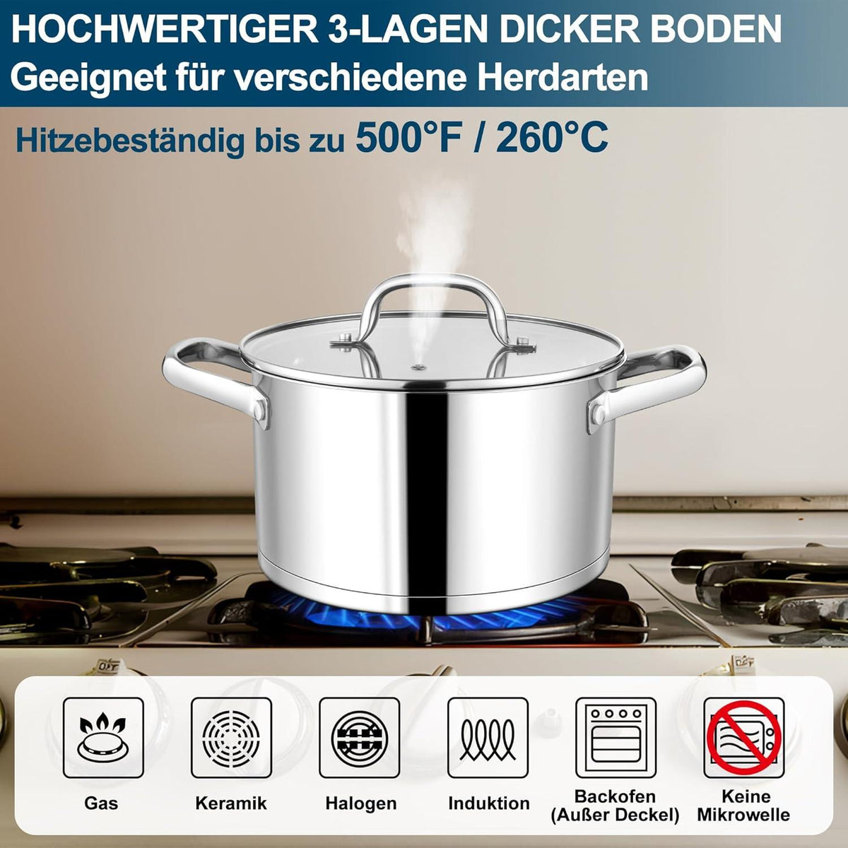 Kochtopf 24cm 5,7L Induktion Nudeltopf Glasdeckel 3-Lagen-Böden