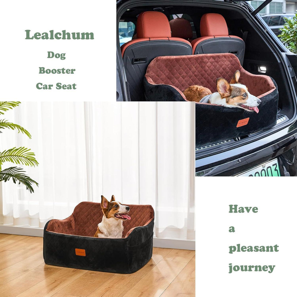 Hundeautositz mit Leine & Taschen – Komfortabel & Sicher (Schwarz/Grau, L)