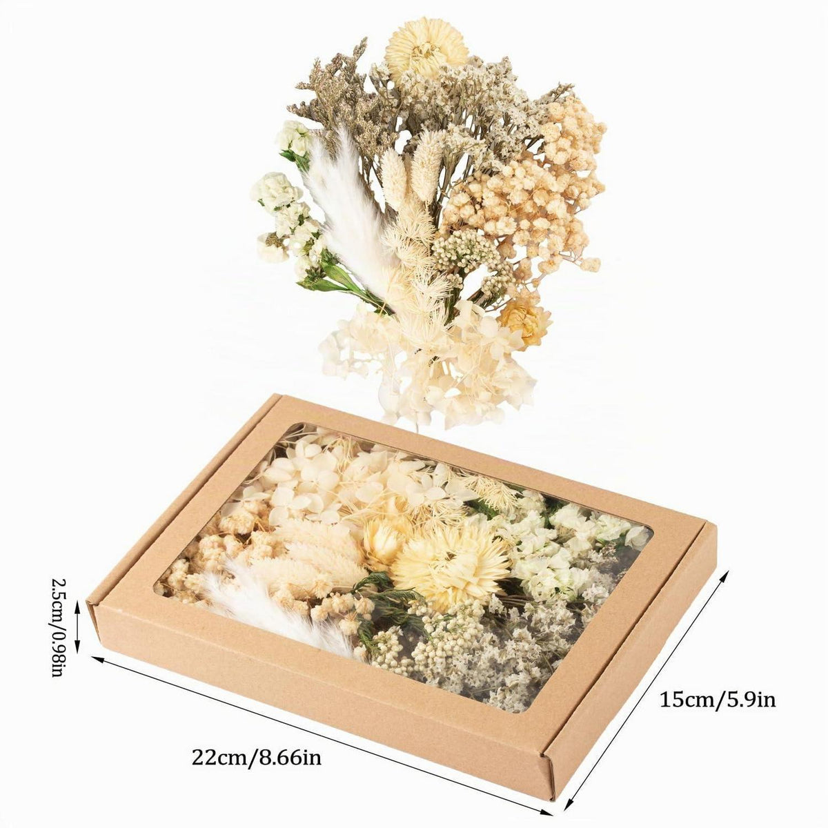 Getrocknete Blumen bunt – DIY Set für Deko & Basteln