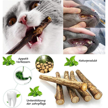 Katzenspielzeug Katzenminze Matatabi Stick Spielzeug für