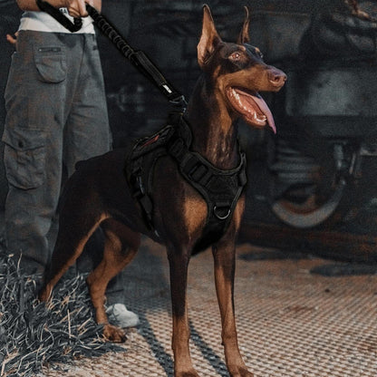 Federbelastete Hundeleine – Schwarz, 86-120 cm Länge