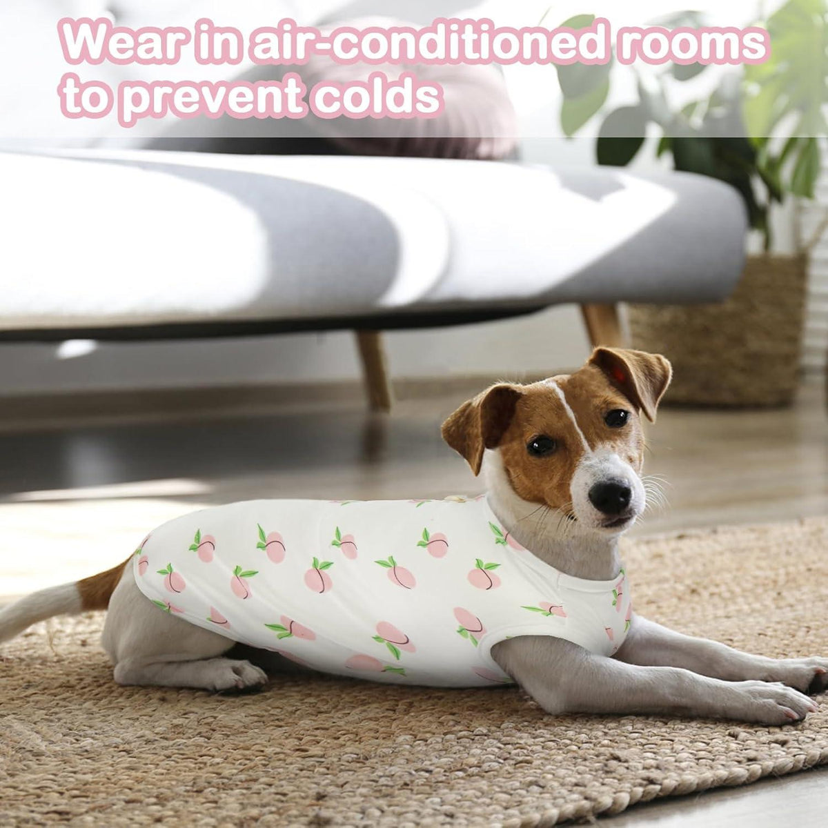 Hundepullover Kleine Hunde Chihuahua Shirt Atmungsaktiv Pfirsich XXL
