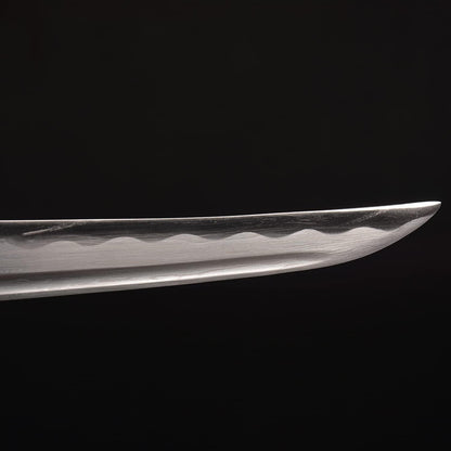 Handgeschmiedetes Tanto Katana Schwert 42 cm voller Tang Kohlenstoffstahl Sharpe
