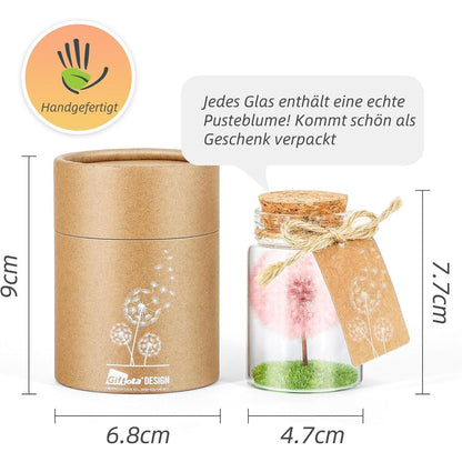 Echte Pusteblume im Glas - Handgemachtes Glücksbringer