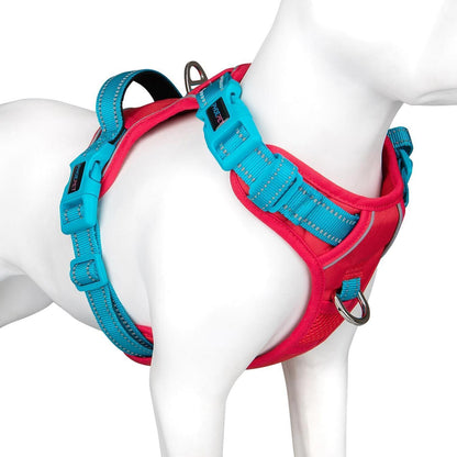 Hundegeschirr Anti-Zug Verstellbar Rot/Petrol S