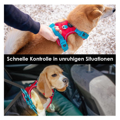 Hundegeschirr Anti-Zug Verstellbar Rot/Petrol S