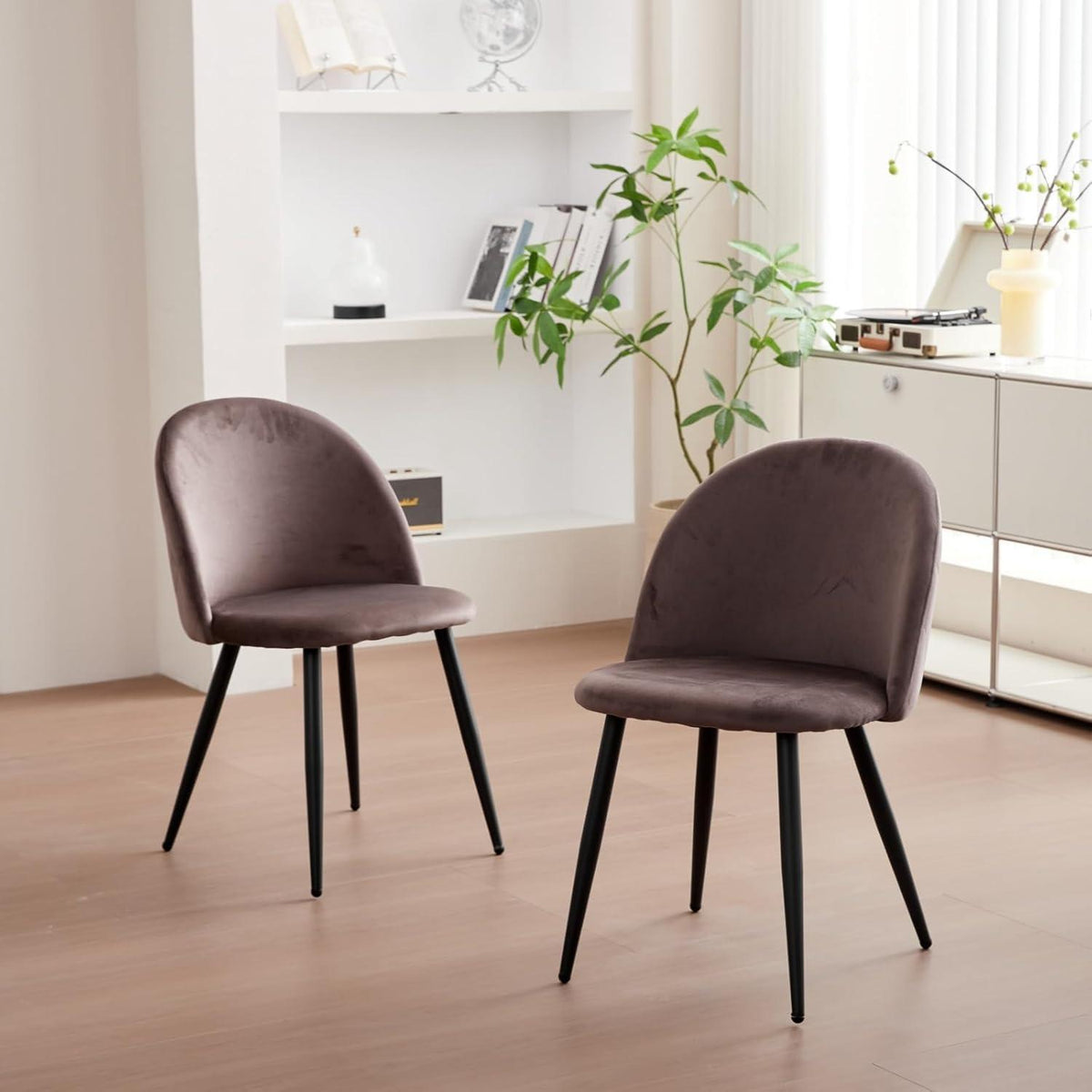 2er-Set Samt Esszimmerstühle mit Metallbeinen – Braun