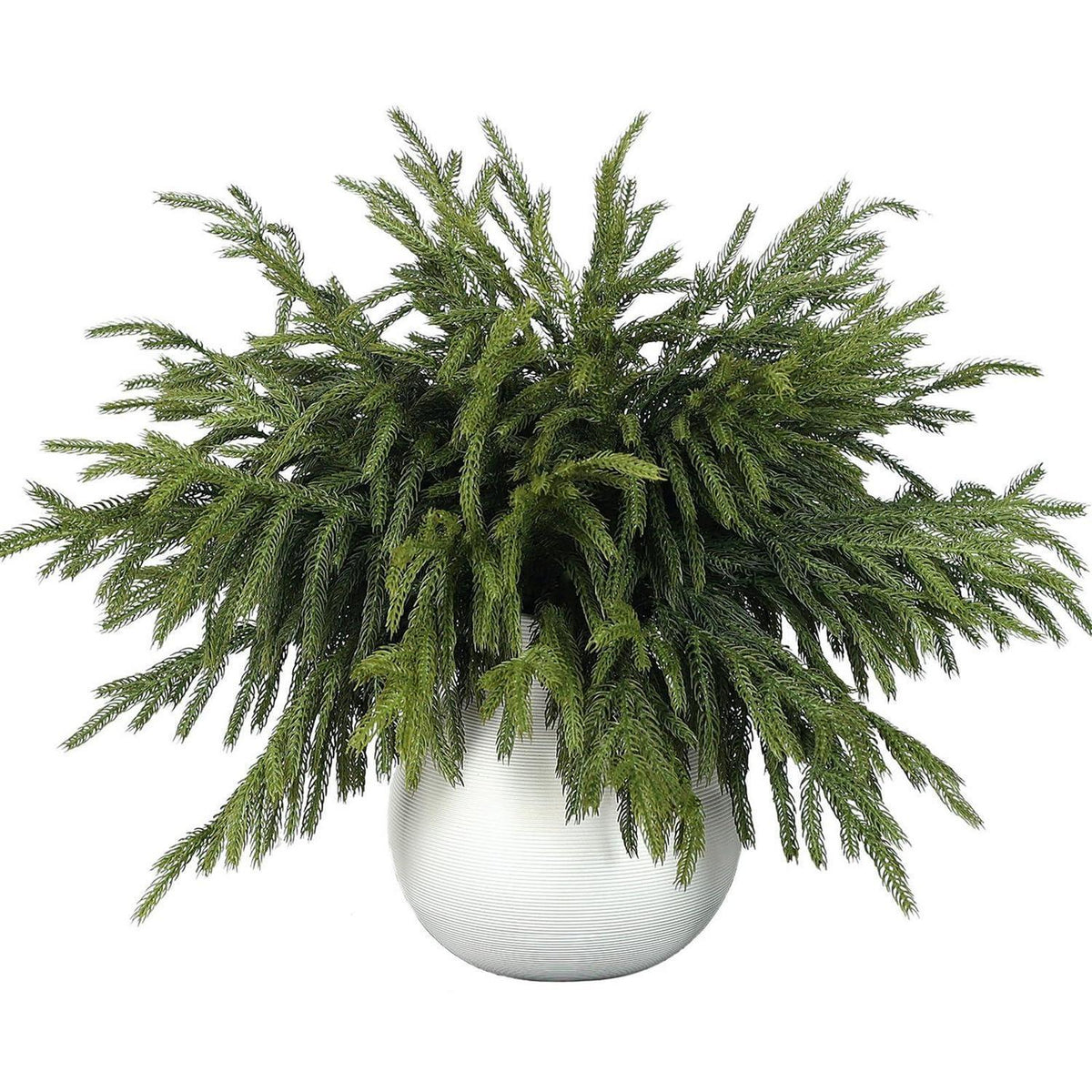 Künstliche Norfolk-Tannenzweige - 45cm - 64er Pack für Weihnachten
