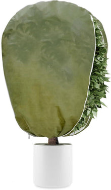 Pflanzenfrostschutz Winterschutz Vlies Jutesack Palmen Tomaten