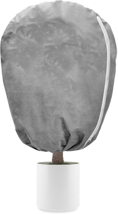 Winterschutz Pflanzen Kübelpflanzen Frostschutz Palmen Tomaten Oleander