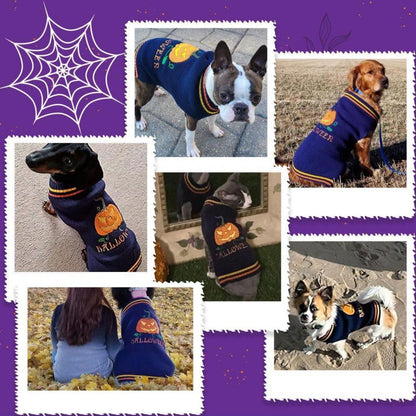 Hunde Halloween Pullover Kürbis Blau XXL - Bequemer Sweater für Hunde