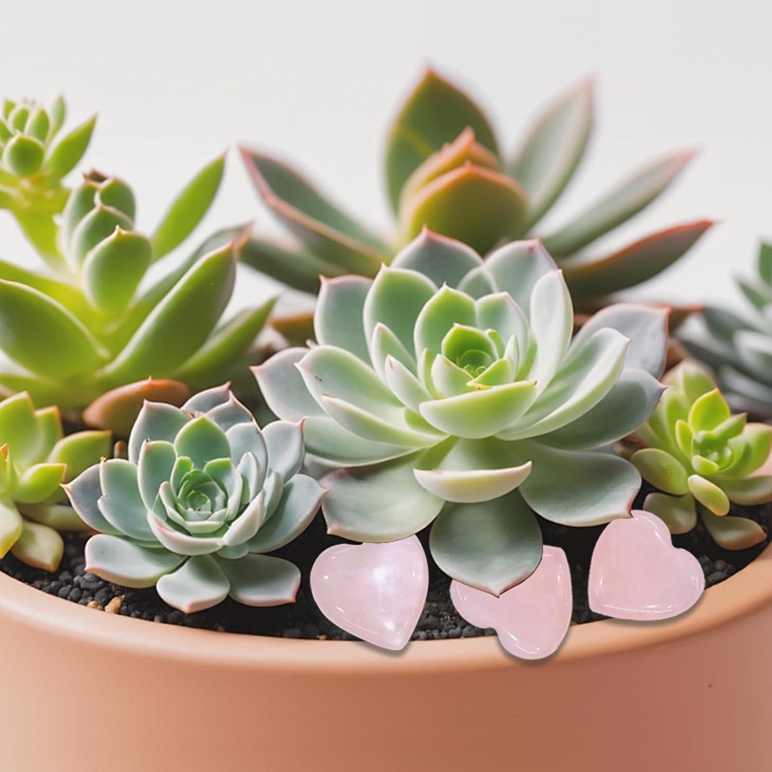 10 Stück Rosenquarz Stein Kristallset 2 cm Rosa Liebes-Heilkristalle Yoga Meditation