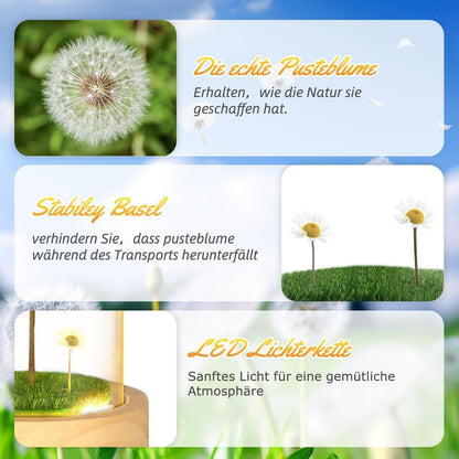 LED Lichterkette mit Echter Pusteblume im Glas - Geschenk