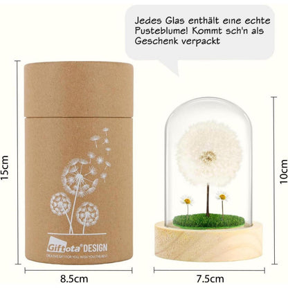 LED Lichterkette mit Echter Pusteblume im Glas - Geschenk