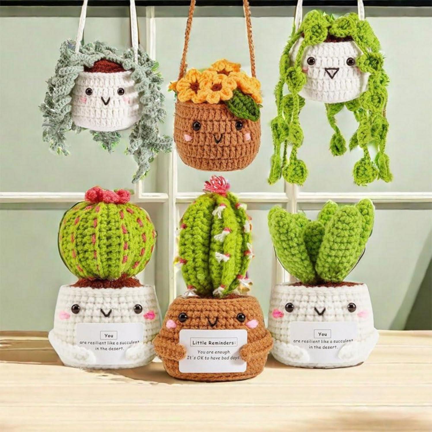 DIY Häkelset für Anfänger: Kaktus Blumentopf Set 6-teilig