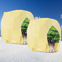 2er Set Pflanzenschutz Winter 250x360cm Frostschutz für Pflanzen