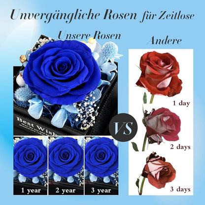Blaue Ewige Rose mit Halskette Damen, Infinity Rose Schmuck