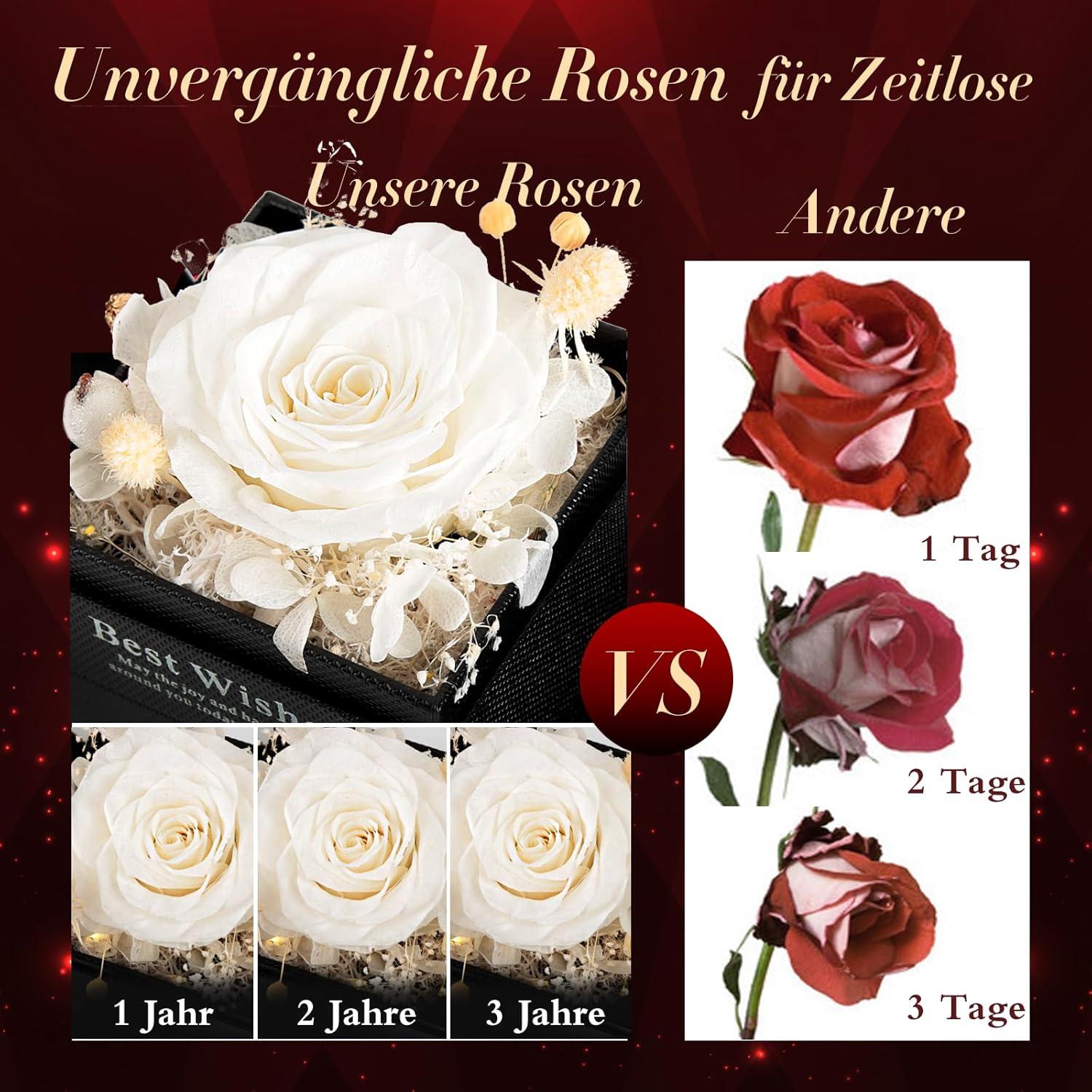 Ewige Rose mit Halskette Damen Infinity echte Rose