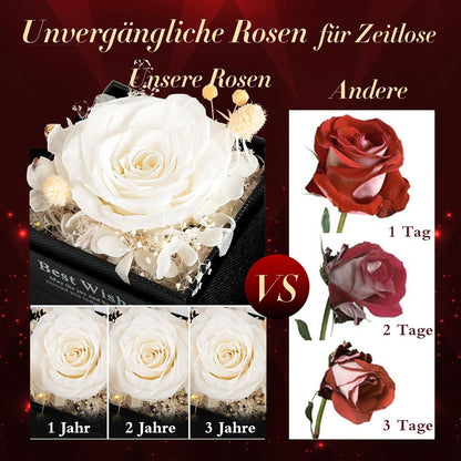 Ewige Rose mit Halskette Damen Infinity echte Rose
