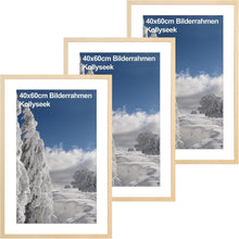 3er-Set Bilderrahmen 40x60cm MDF Acrylglas Holzfarben Home