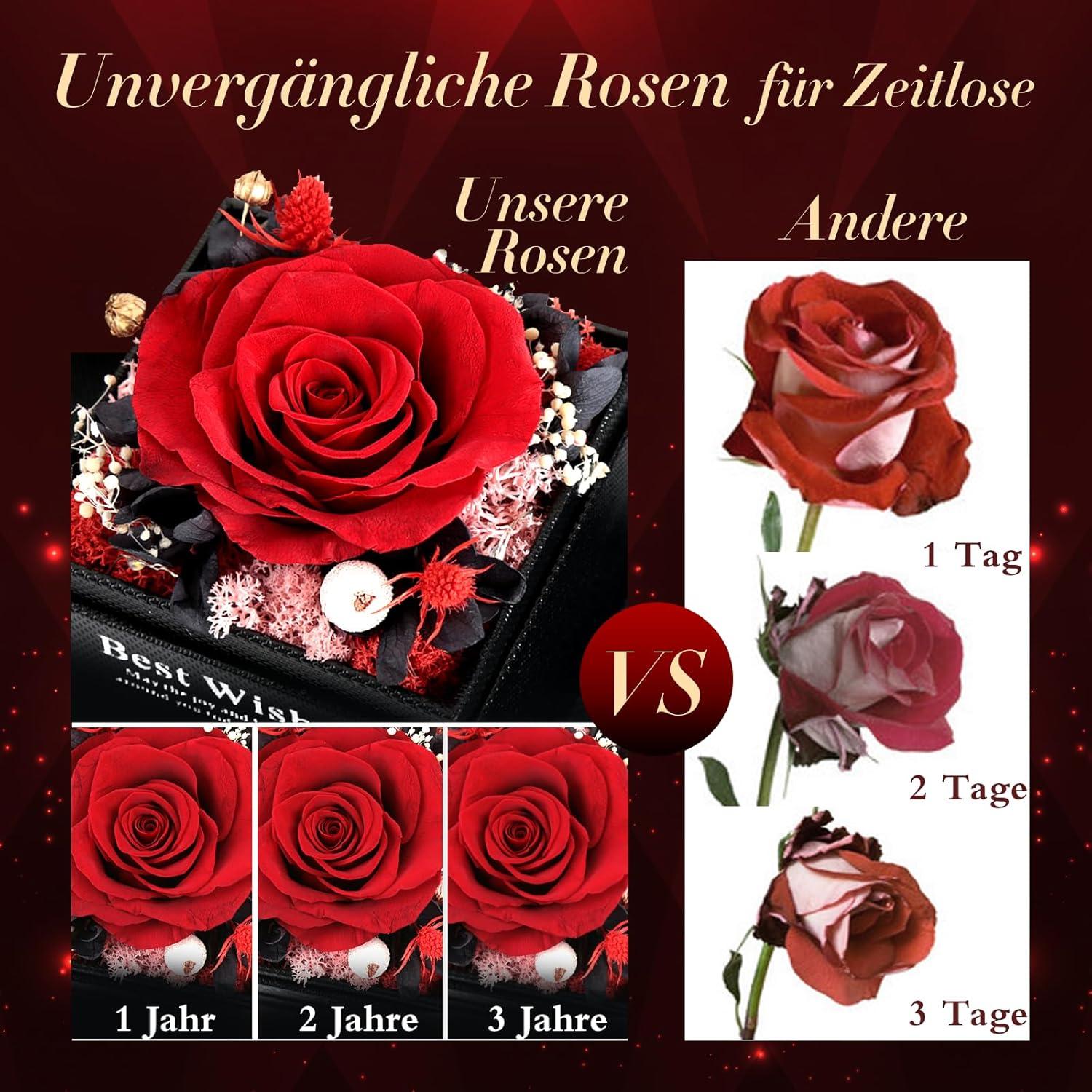 Ewige Rose Halskette Damen Infinity Echte Rose Schmuckbox Ich Liebe