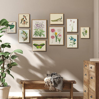 Vintage Botanische Leinwandbilder Holzrahmen 20x25cm Wohnzimmer Schlafzimmer