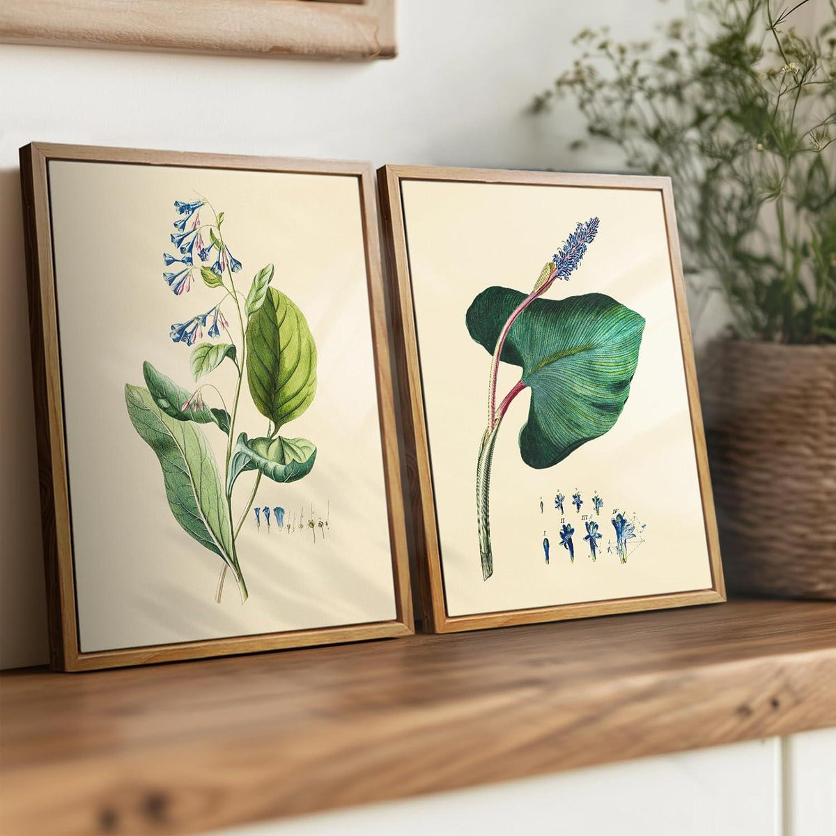Vintage Botanische Leinwandbilder mit Holzrahmen 20x25cm Wohnzimmer