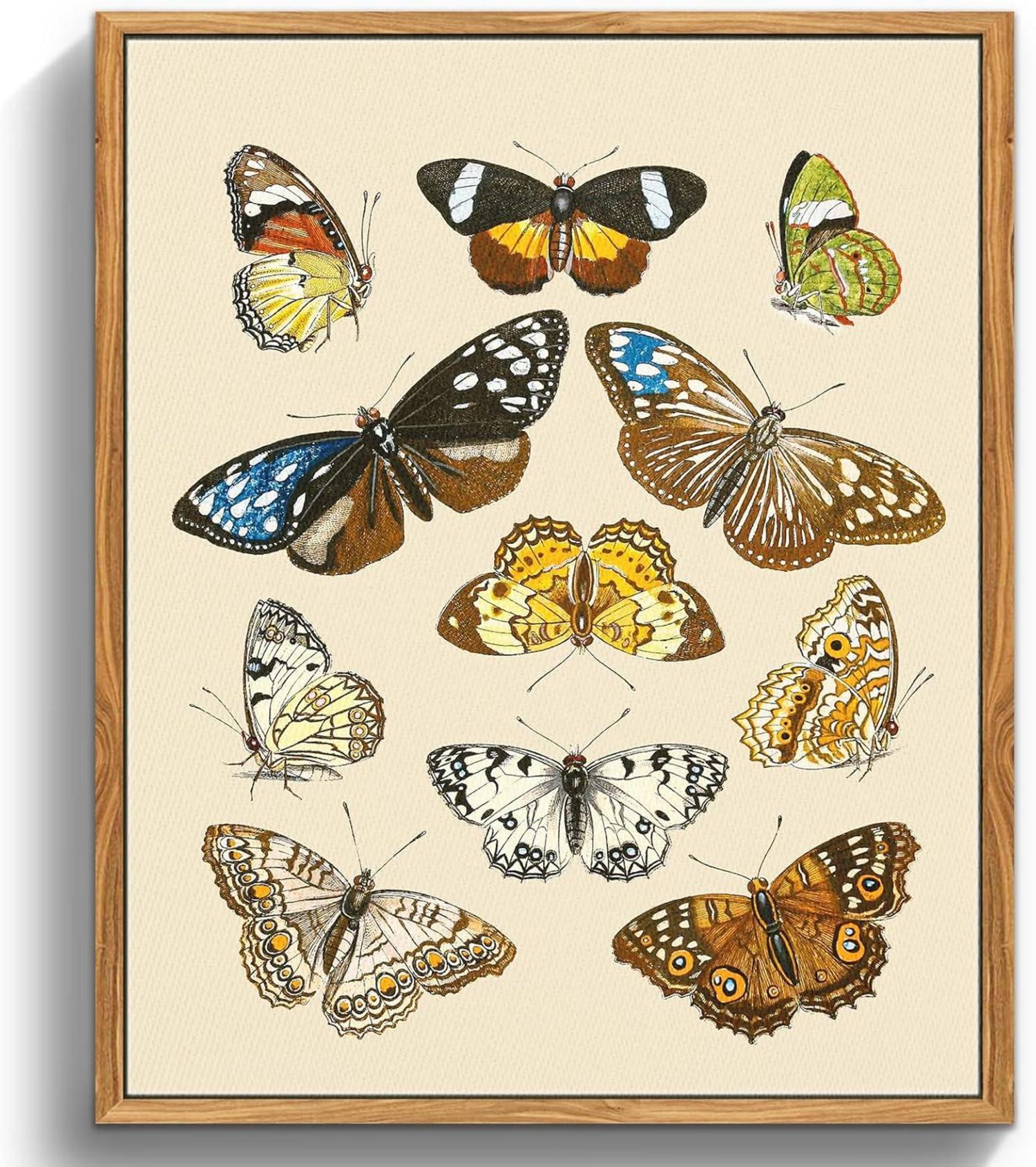 Vintage Insekten Leinwandbild mit Rahmen 40x60cm Wohnzimmer Badezimmer