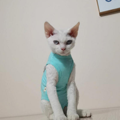 Katzenbody OP Bauchschutz Kastration Blaugrün M - PetSmiler
