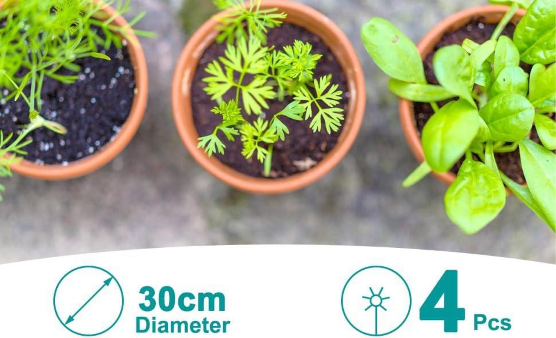 Kokosmatte Winterschutz Pflanzen Kokos-Mulchscheibe 30cm Topfpflanzen