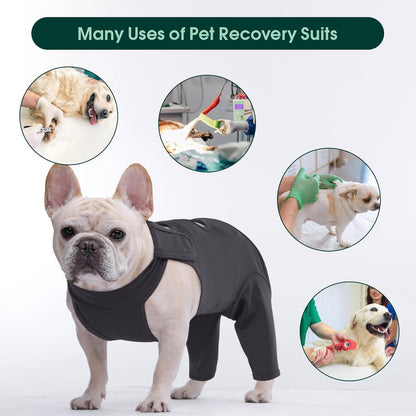Hundebody nach OP – Wundschutz & Erholung für Hunde, Grau XXL