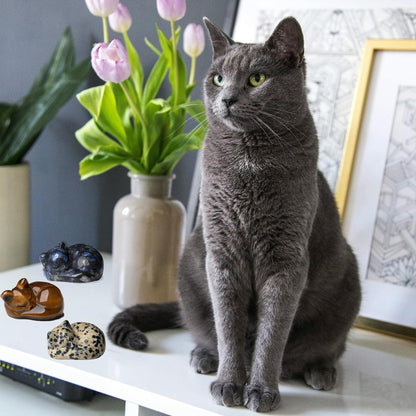 Blauer Labradorit Katze Kristalle Figur 4cm Geschnitzt Statue