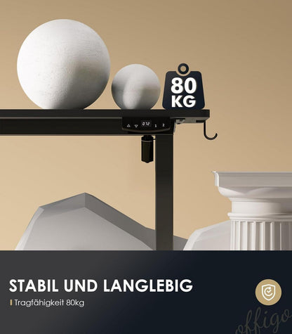 Höhenverstellbarer Schreibtisch Elektrisch 160cm USB Schwarz