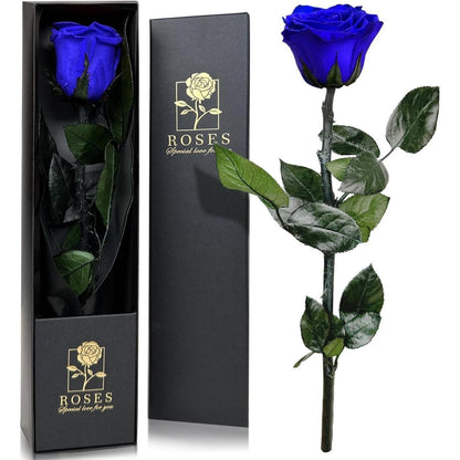 Infinity Rose in Geschenkbox Ewige Blume Blau