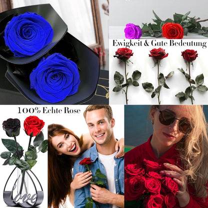 Infinity Rose in Geschenkbox Ewige Blume Blau
