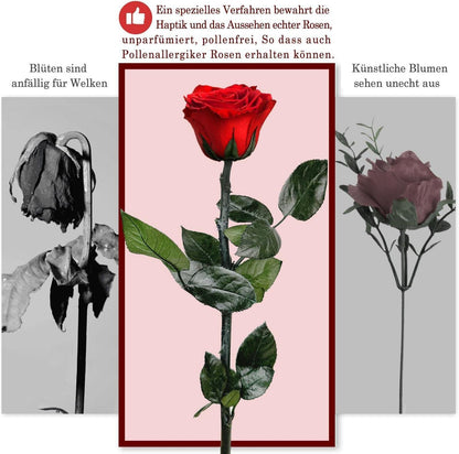 Ewige Rose Geschenkbox Blau - Infinity Rosen Geschenke für Frauen, Muttertag, Geburtstag