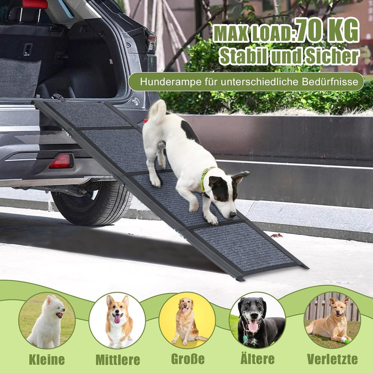 Klappbare Hunderampe 160cm – Sicherer Einstieg Auto, SUV, LKW