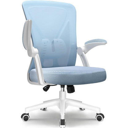 Ergonomischer Bürostuhl mit Lendenwirbelstütze, Testsieger