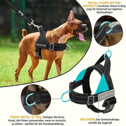 Hundegeschirr Fleece XL mit Leine – 360° Drehung & Reflektierend