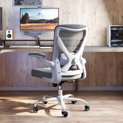 Ergonomischer Bürostuhl mit Lendenwirbelstütze, Grau