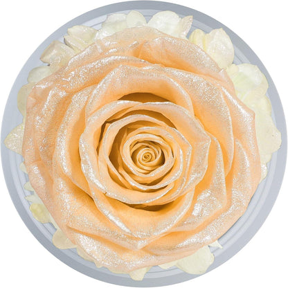 Ewige Rose Engel Figur im Glas – Geschenke Weihnachten