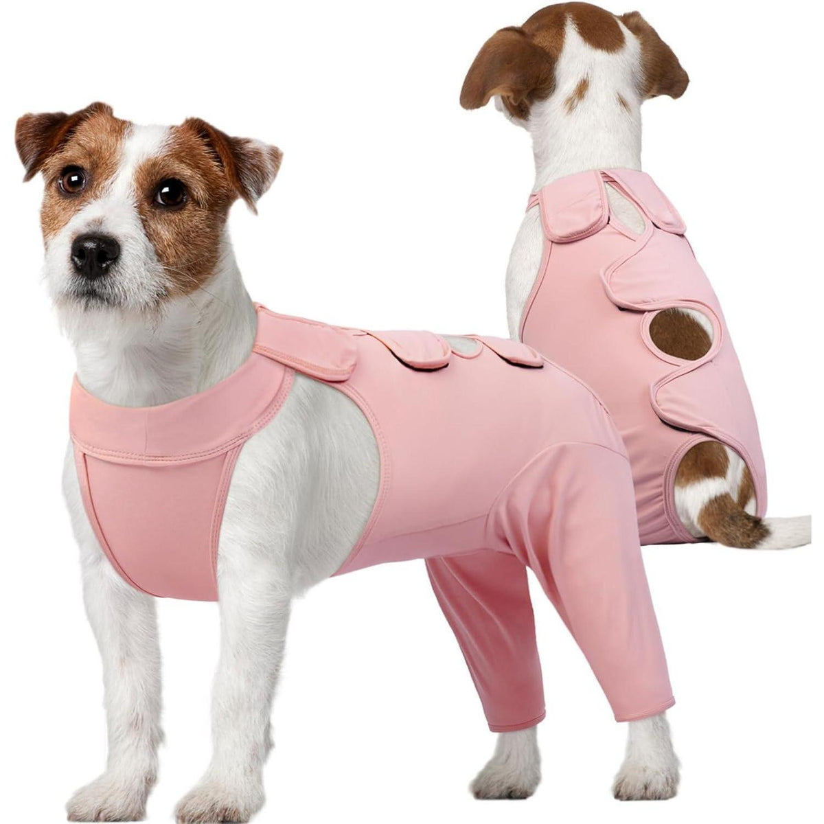 Hundebody nach OP – Wundschutz & Erholung für Hunde