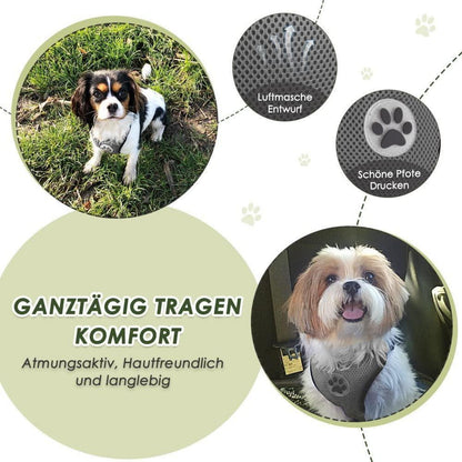 Hundegeschirr Auto Sicherheitsgurt Set Grau S