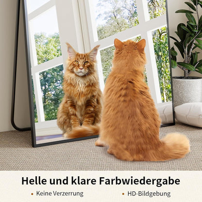 Großer Standspiegel 165x60cm – Bruchsicher & Wandhängend