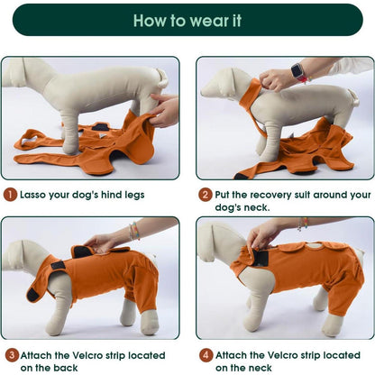 Hundebody nach OP – Wundschutz & Erholung, Braun XXL