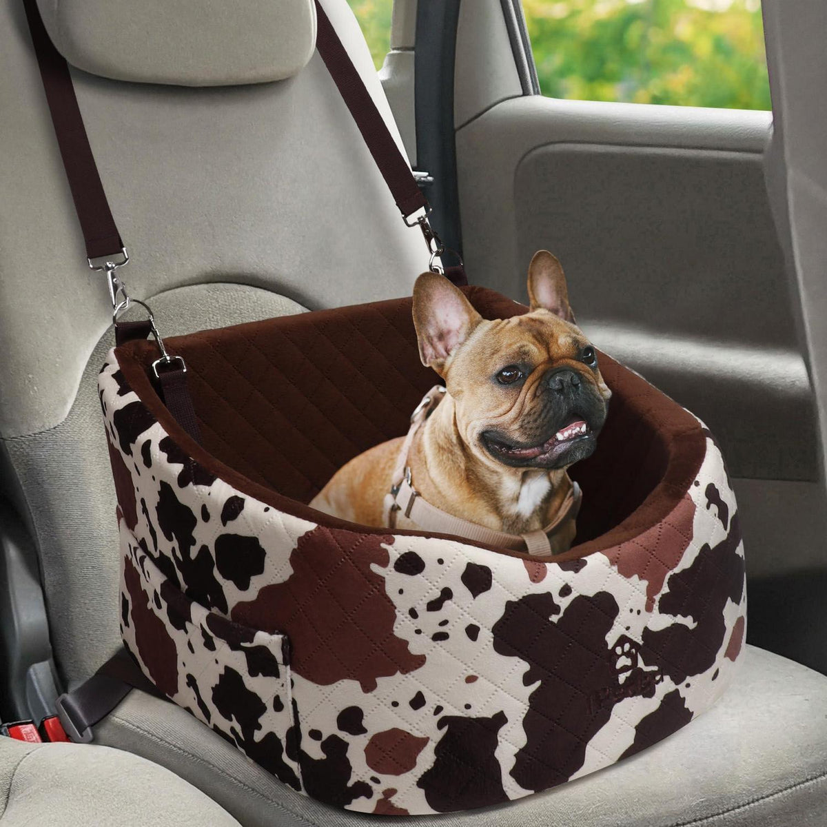 Hunde Autositz für Kleine Hunde – Crash-Schutz & Komfort