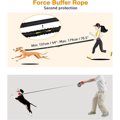 Freihand-Joggingleine für Hunde mit Bauchgurt, Lila